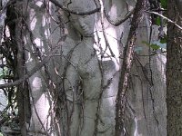 Wiesengrund Miksáné